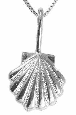 SOLID 14K WHITE GOLD 9.75MM HAWAIIAN SEA SUNRISE SHELL PENDENT CHARM